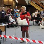 XX Międzynarodowa wystawa psów rasowych