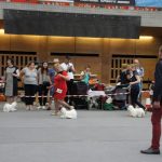 XX Międzynarodowa wystawa psów rasowych