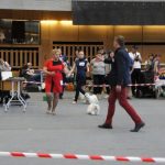 XX Międzynarodowa wystawa psów rasowych