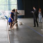 Krajowa wystawa psów 9. grupy FCI