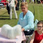 47. Krajowa wystawa psów rasowych