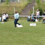 47. Krajowa wystawa psów rasowych