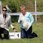 47. Krajowa wystawa psów rasowych